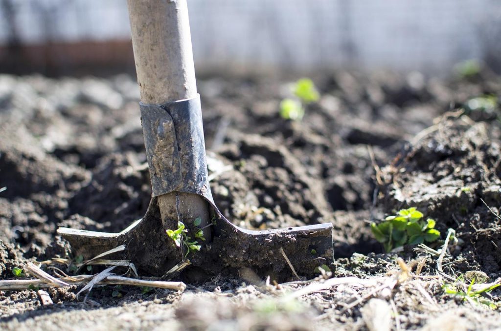 Home Hovenier aan het werk in een tuin in Ermelo met tuingereedschap en groene planten